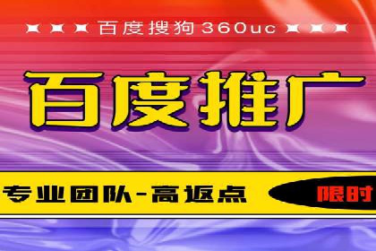 竞价广告与自然搜索的结合策略：XX网站的案例分析